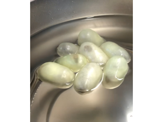 �����̒��ŃR���R���Ɨx��Ȃ��疚�B���z�I�Ȍ��i�ɁA��l���q�ǂ����v�킸�����ɂȂ�܂��B