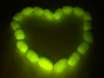 �Ō�͖��ŃA�[�g�B�e�I�n�[�g��Ί�ȂǁA���������́u����v���o�v���B (�����̃A�[�g�͎B�e�p�ł�)