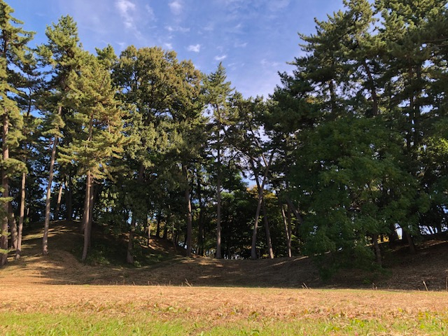 �̌��̂��Ƃ́A�ڂ̑O�ɍL���锪���R�Õ��Ń��t���b�V���B���j�Ǝ��R�̕��������Ă��������܂��B