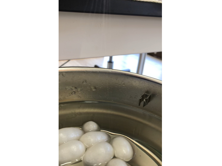 �����̒��Ŗ������������A���������{��{�̋P�������L���b�Ə�ɐL�тĂ��܂��B