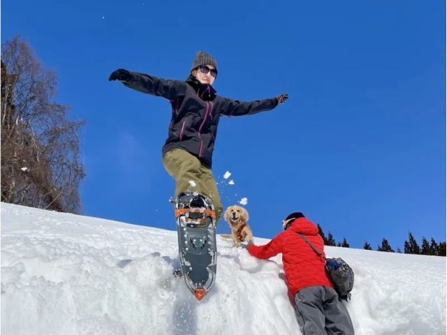【新潟・越後湯沢・スノーシュー】越後をぷらっと雪上ハイキング!/じゃらん限定/カ...