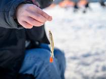 iF̒Œ킷郏JTMނ ߂Ă̎vo