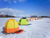 iF~egŉK JTMނ ߂Ă̎voÂ