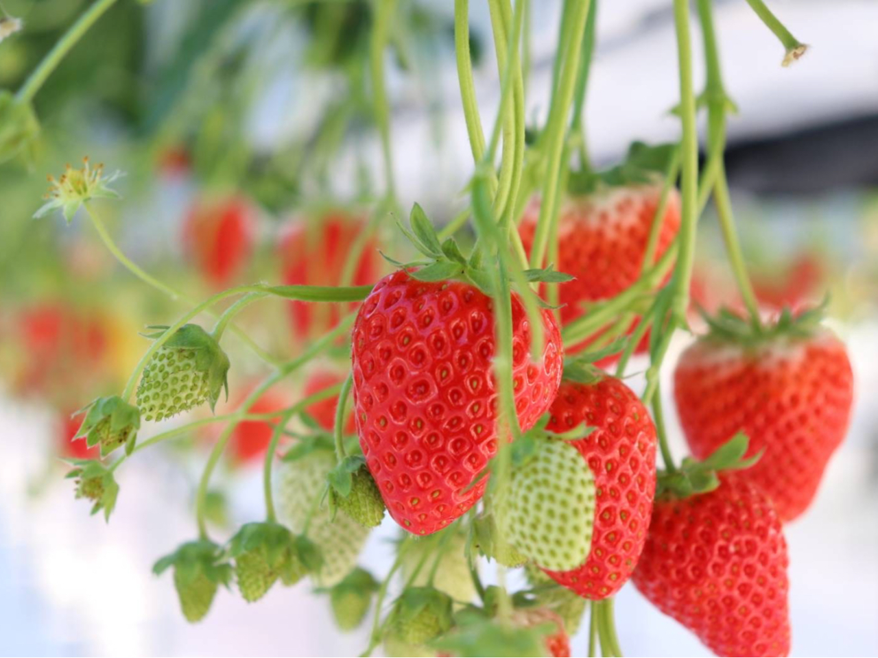 ���n�����������������