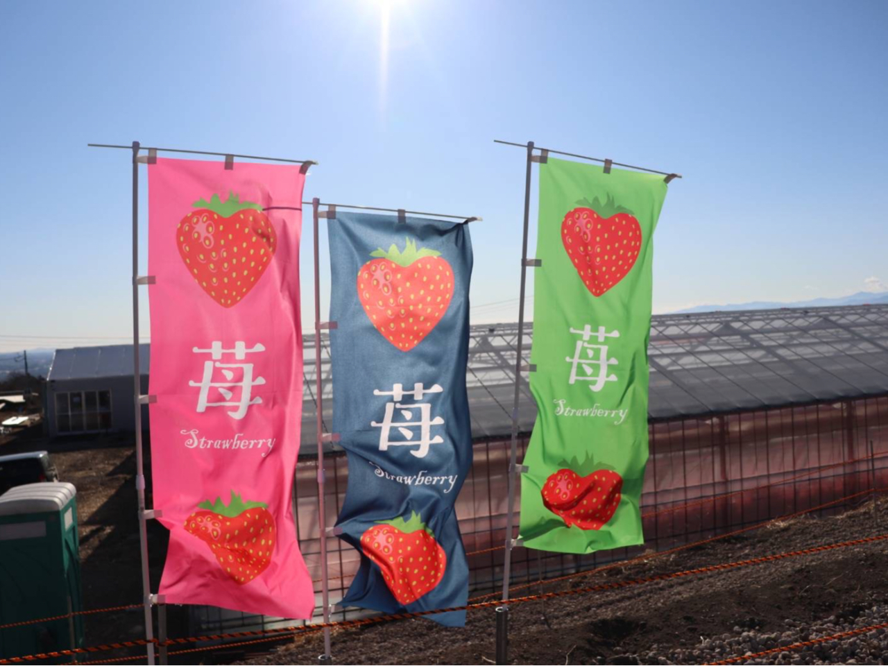 いちこ 滋賀県産いちご「紅ほっぺ」3Lサイズ 約250g×2パック: 近江の味彩