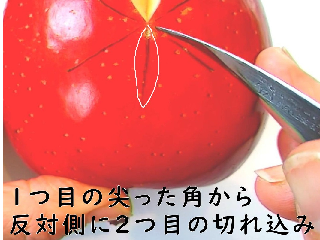 ��������ʐ^�̃��V�s�ŁA������₷��������