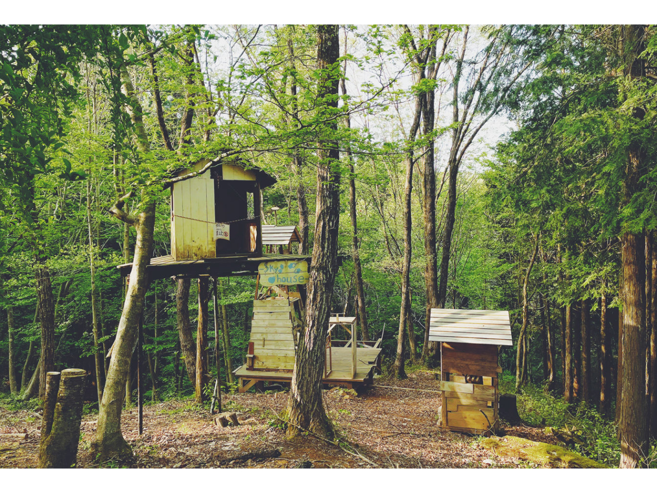 �X�ؘ̖R����Ǝq���̏Ί炪�d�Ȃ�ЂƂƂ�