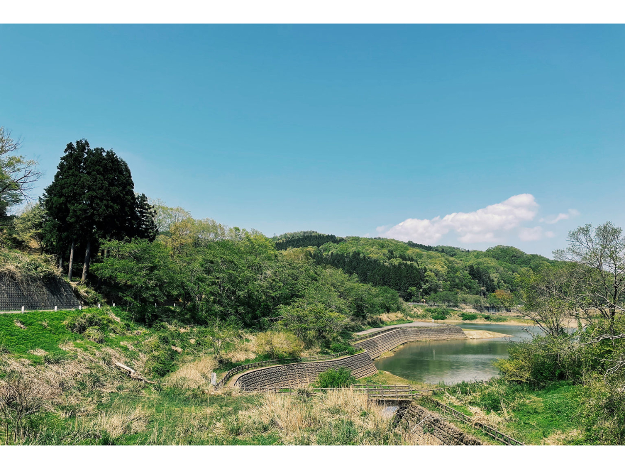 ���R�Ɉ͂܂ꂽ�X�Őe�q�̏Ί炪�P���u��