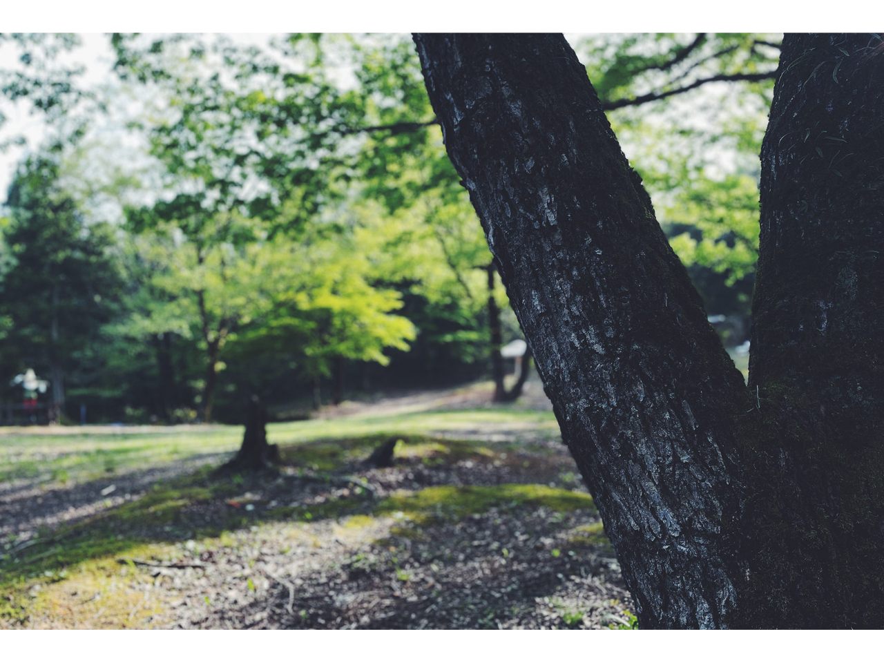 �X�̒��Őe�q���߂����y�������Ԃ��L�O��