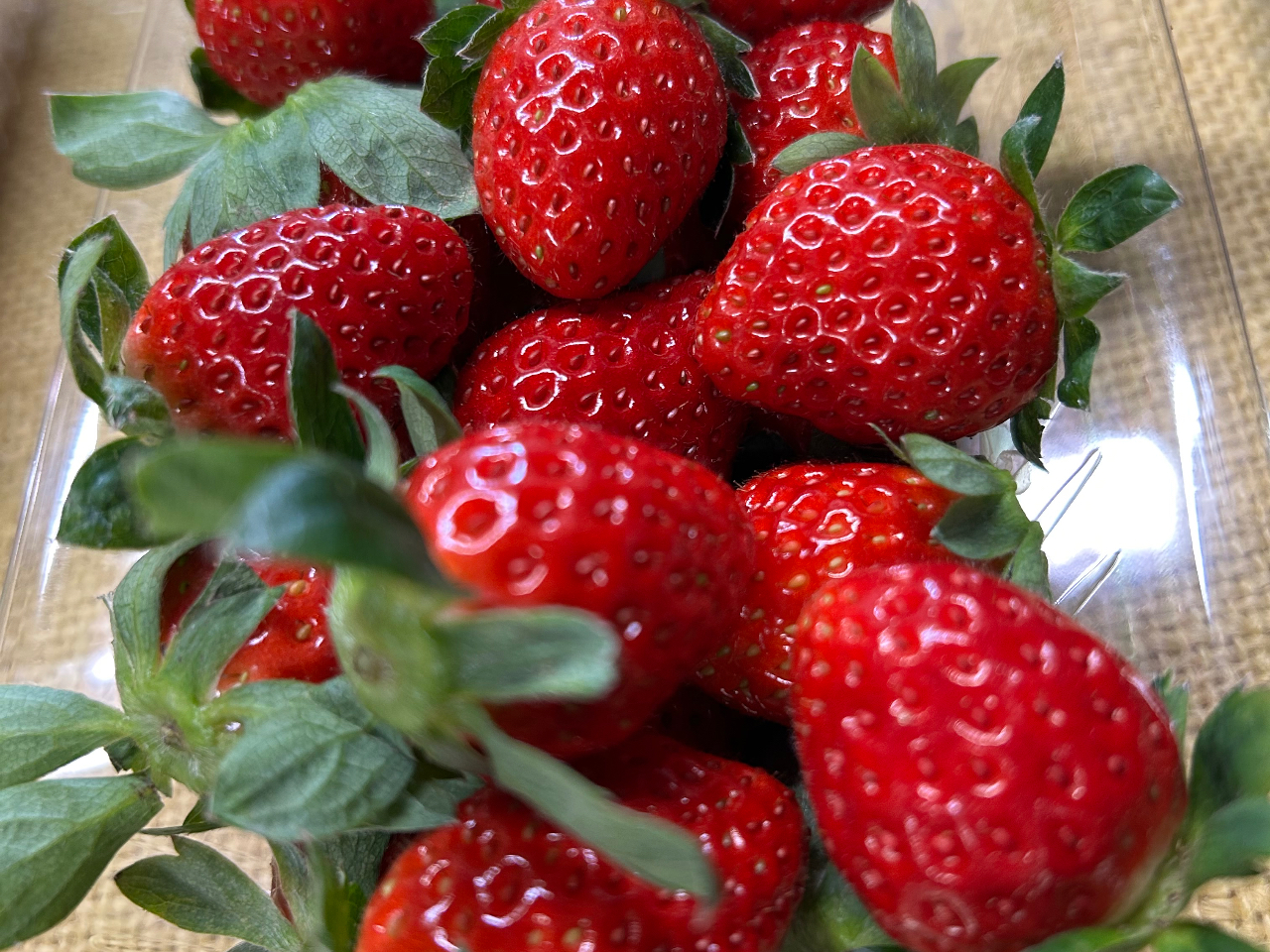 ��t�}�[�N�_���ŃJ�b�v���ɂ��������߁B