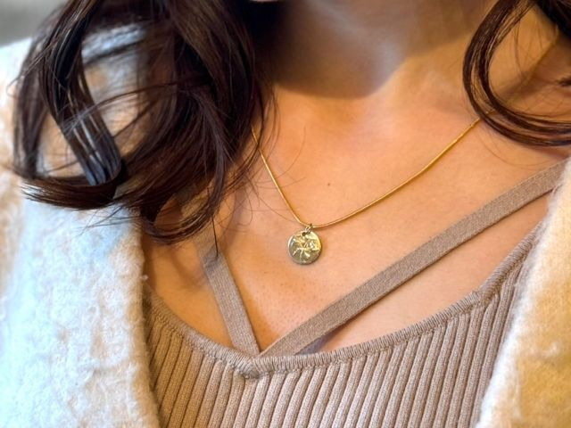 RC烊OߒŐ܂^񒆂lbNXɁyAŌIXXłȃRCVIԎ\łBlbNX̓IvVƂȂ܂B