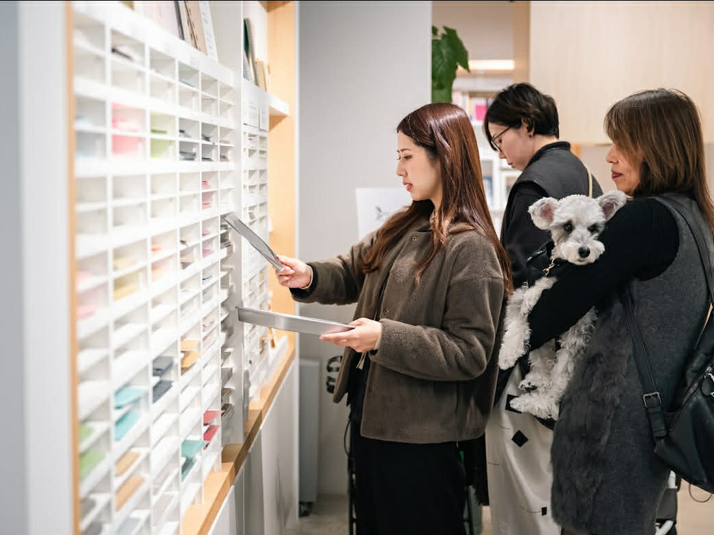 �_�Œ�̕\���ɍ��킹�āA���\�����`���C�X�I�����ȐF�̒����炨�C�ɓ���������悤��^