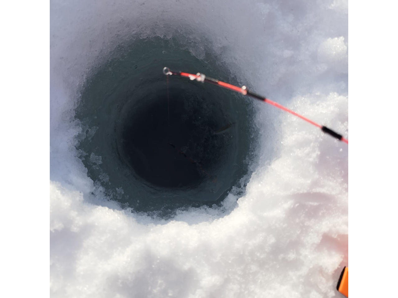 kC̐iƕXANeBreB𖞋i