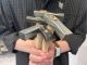 5種類の金槌からお好きな模様をお選びいただきます