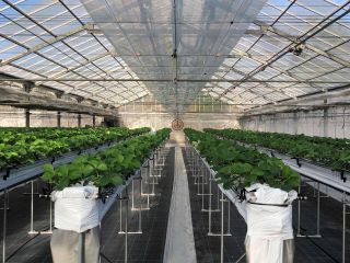 受付け前のエントランスでは待ち時間で記念写真撮影も良いかもしれません♪