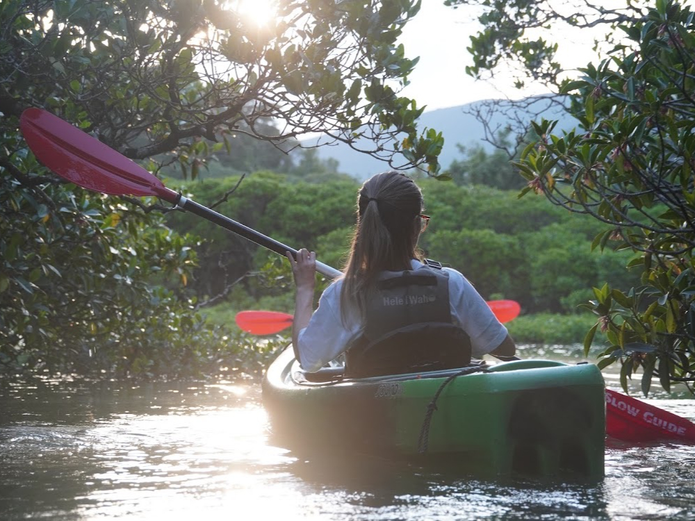 �������F�̐��H��i�ށA�[���J�k�[�g���b�v��