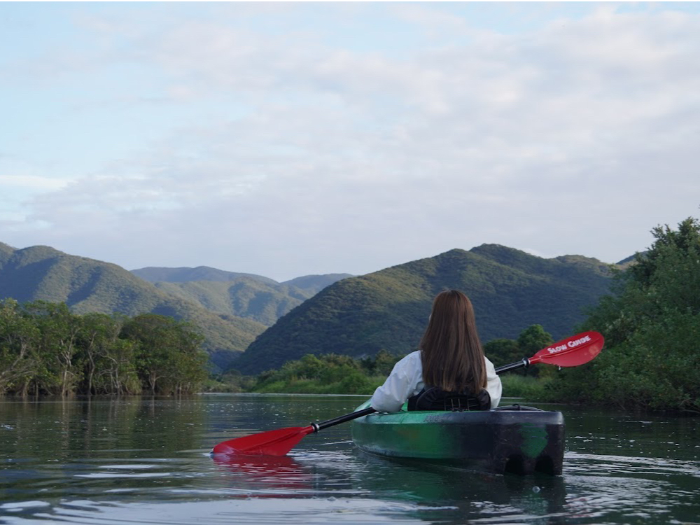 �������̐Â��Ȏ��̗���̒��A�}���O���[�u����������̃J�k�[��