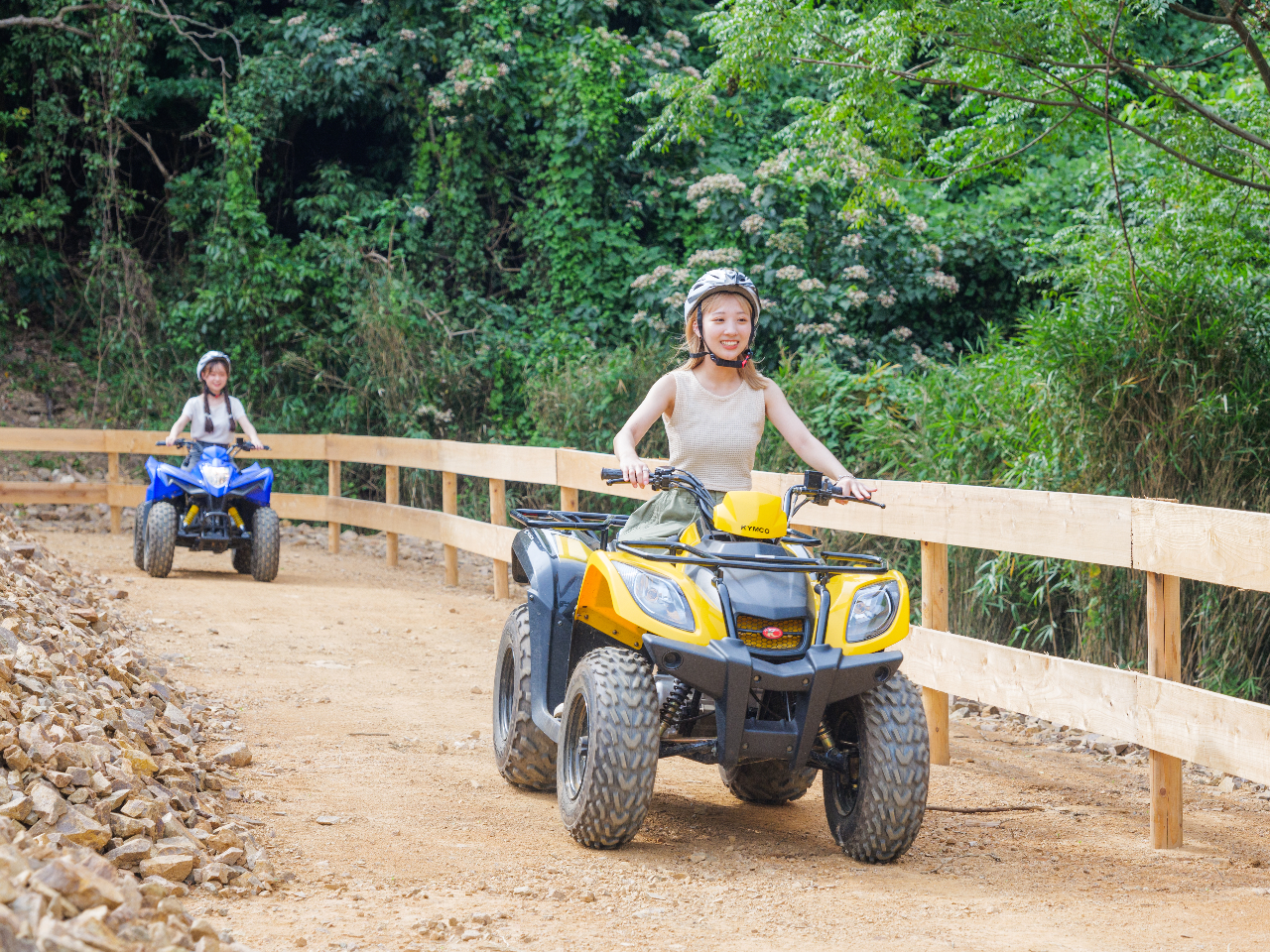 �_�I�t���[�h�g���C�R�[�X�^���S�Ҋ��}�I�C���X�g���N�^�[���D�������N�`���[��