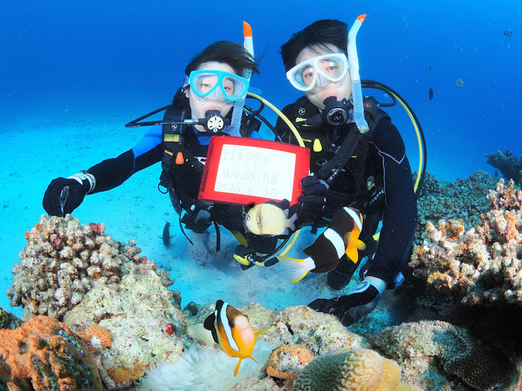 �̌��_�C�r���O�ł��L�O�_�C�r���O�\��