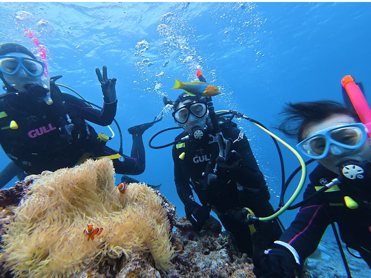 �̌��_�C�r���O�ł��J�N���N�}�m�~�ƋL�O�B�e��