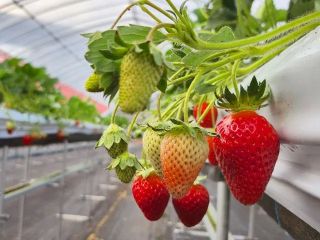 こんにちは!南紀南国園です♪