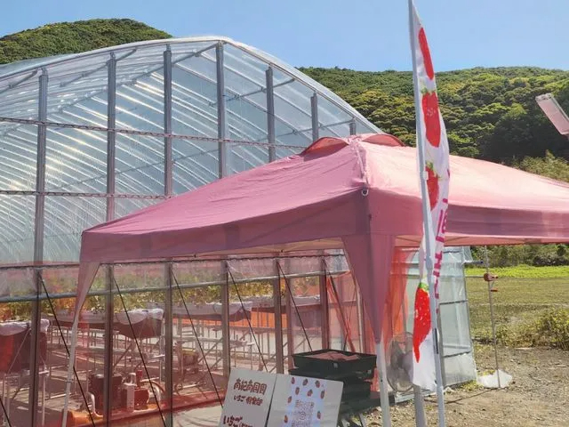 �󂯕t���͂���Ȋ����ł���