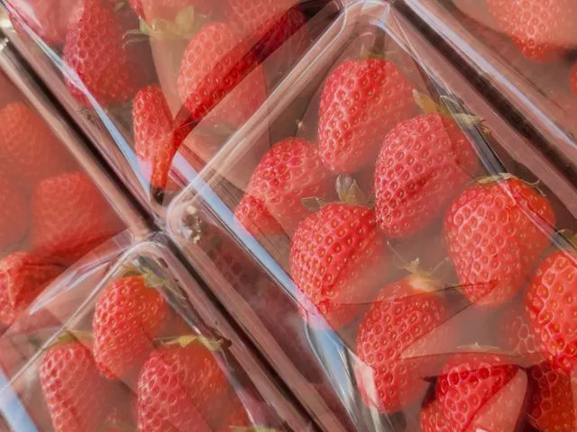 ���y�Y���������̔����Ă���܂���