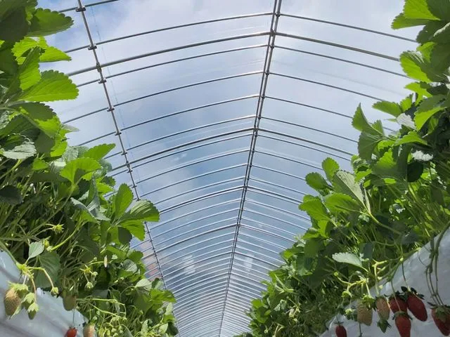 �^���ԂȂ������ł��҂����Ă���܂���