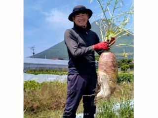 開聞岳を背景に広がるユーファームの畑で、伝統野菜の収穫体験!
