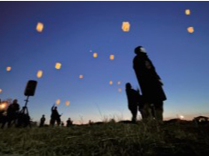 1213yj撅30lIcXJC^Qł1213ɐA؉όى{݂ɏhꂽɌ܂