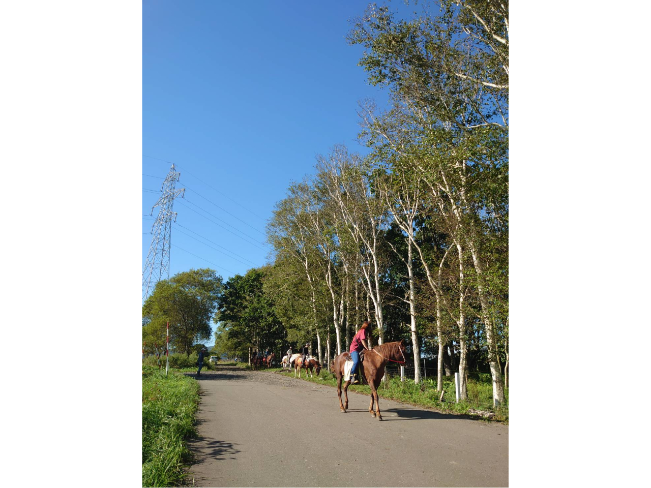 �_���₩�Ȕn�����ƈꏏ�ɁA�X�̒��⑐�����������ƎU��I�^