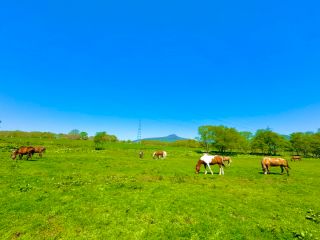 \北海道・登別の大自然を感じながら、特別な乗馬体験をしよう!/