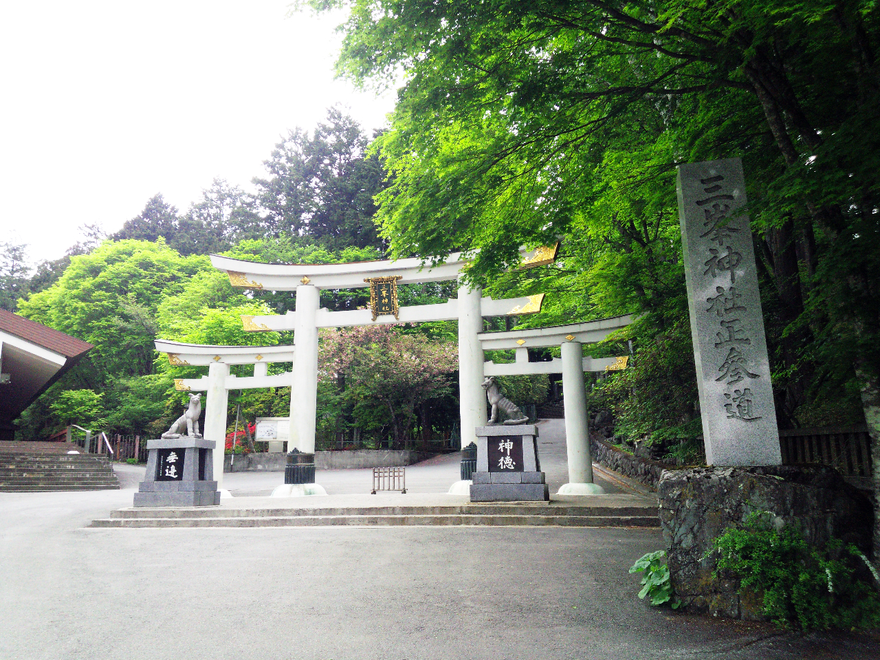 �O���_��