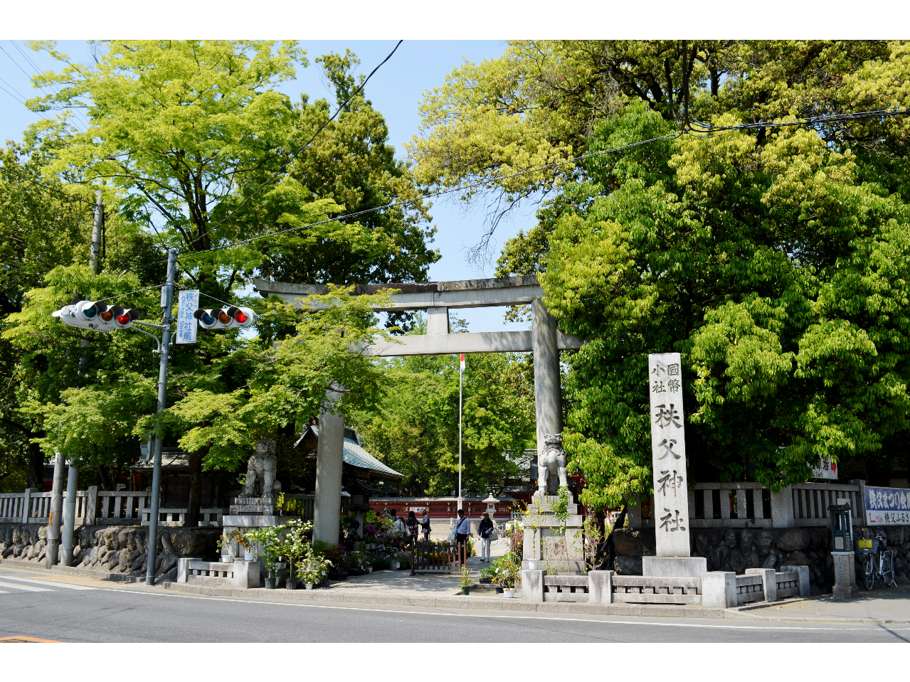 横浜発 関東人気No,1のパワースポット 秩父三社巡り～三峯神社・秩父神社・宝登山神社～[A181-Y1]/株式会社ドリームワールド ...