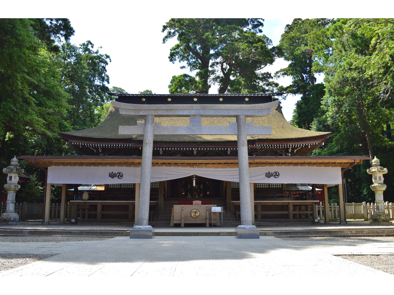 �����_�{