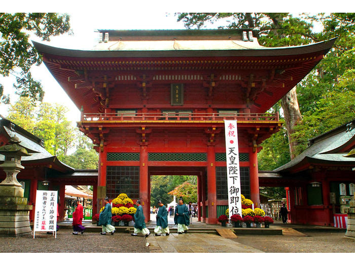 �����_�{