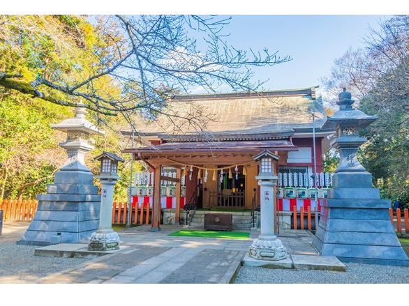 �����_��