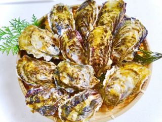 \高串かき/1月〜5月の第2・第4土曜日に体験できます◎