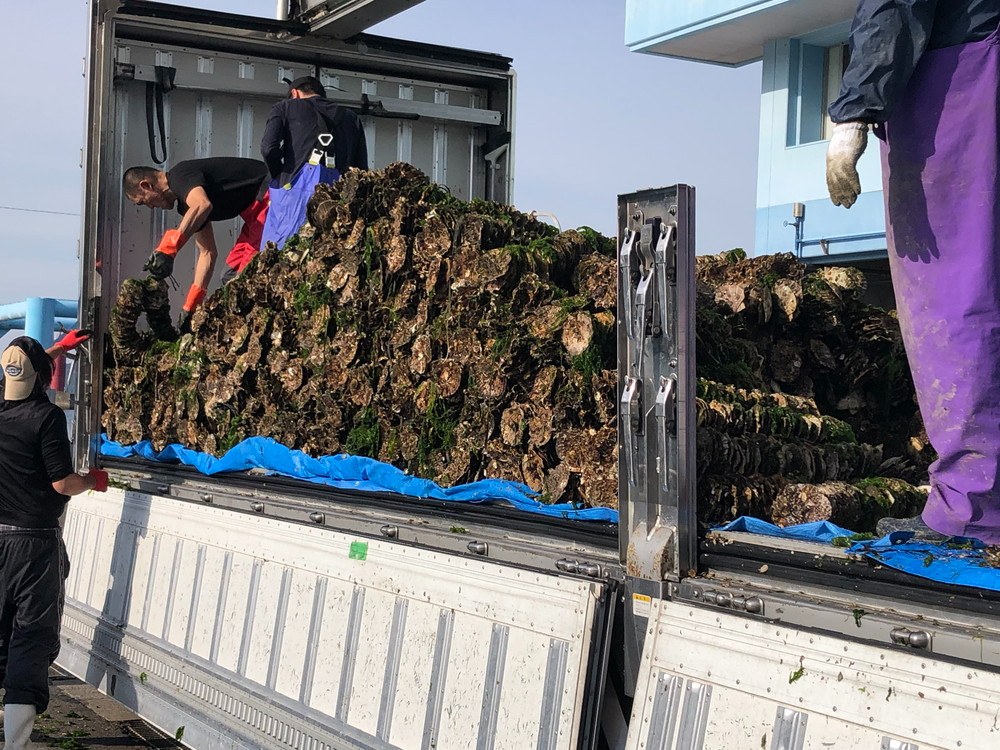 �_10���F��������{�錧����d����܂��^