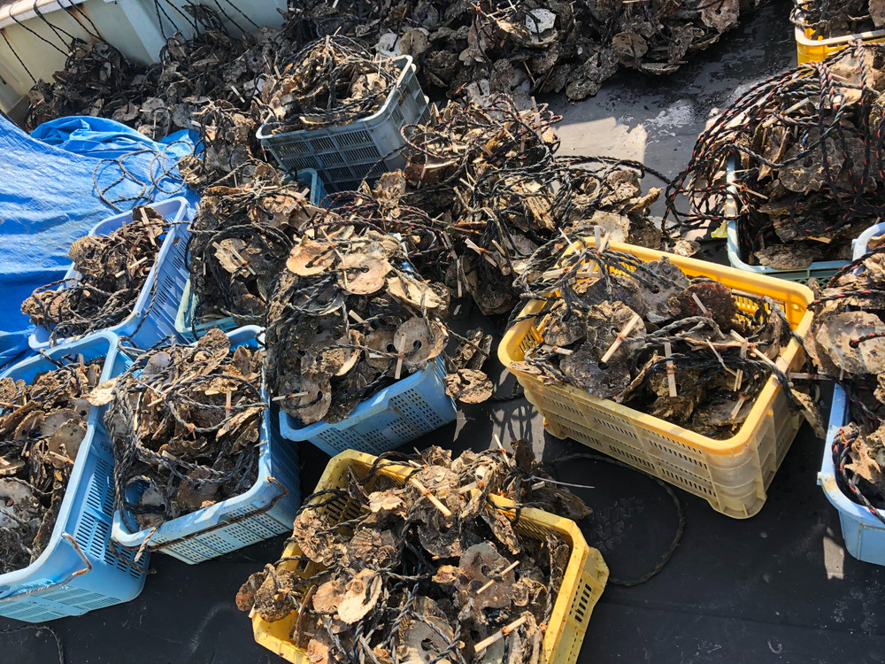 �_11���`2���^��t�����s���܂�