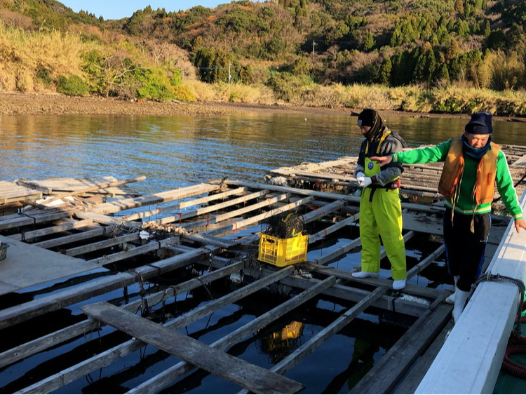 �_11���`2���^���y�΂炵�Əo�ׂ𕹗p���Ȃ����Ƃ��s���Ă����܂��I