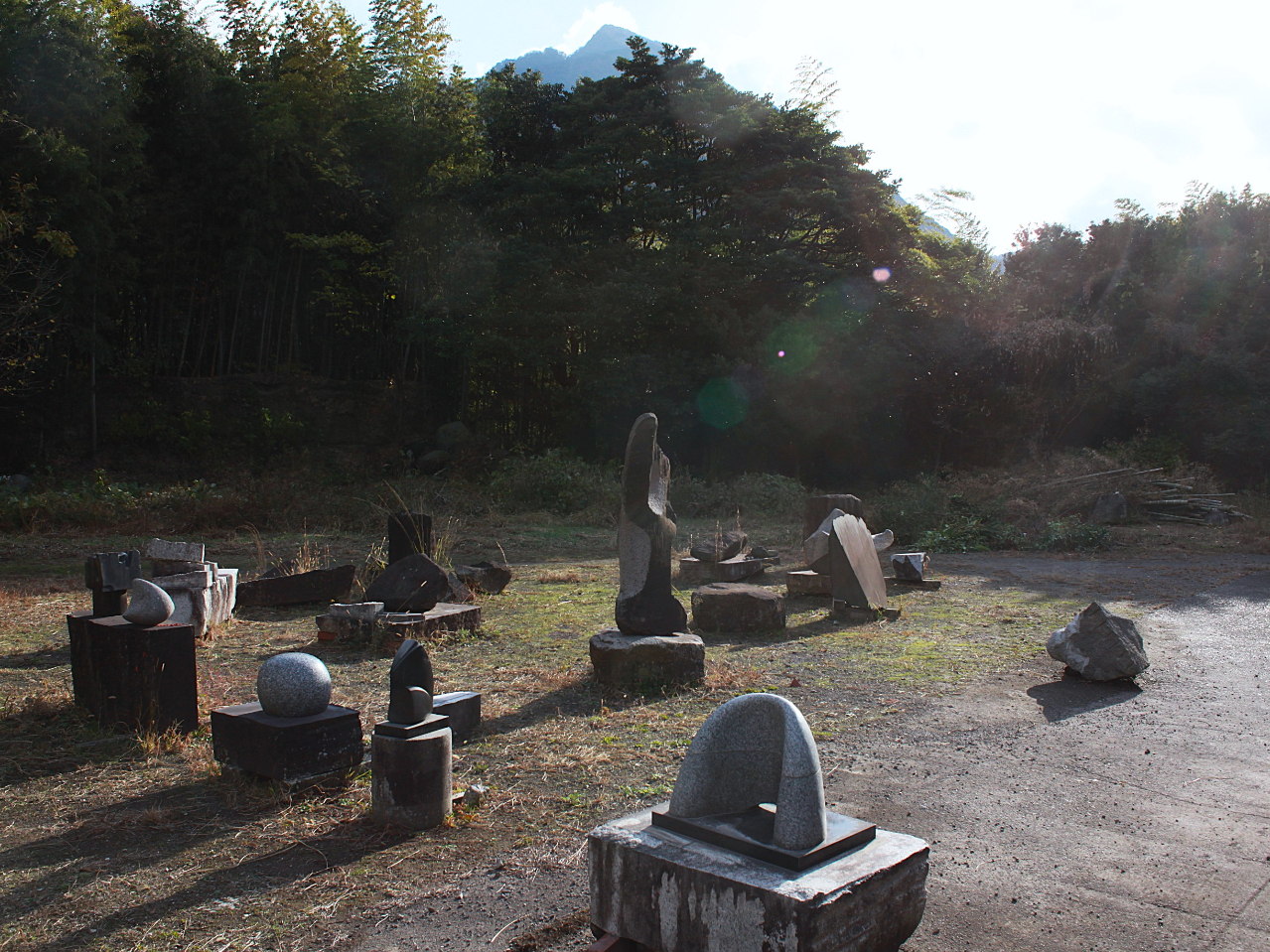 �_�����ł̑̌��́A�����Ƒf�G�Ȏ��Ԃ�����Ă������Ƃł��傤�I�^