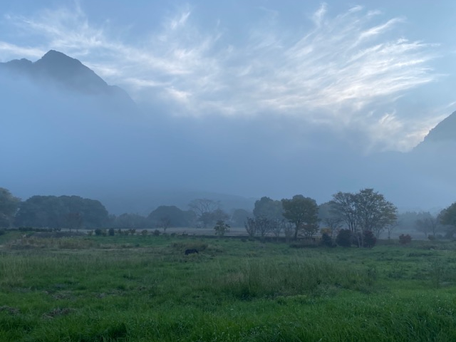 �_�����΁i�_�啁���x�̗n��j���g�p���܂��^