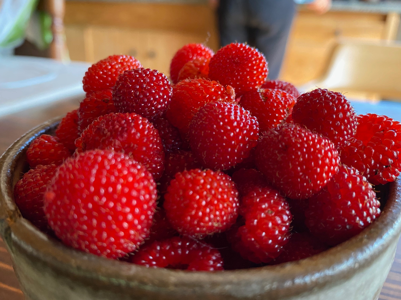 �_�������Ƃ������Ԃ����y���݂��������ˁI�^