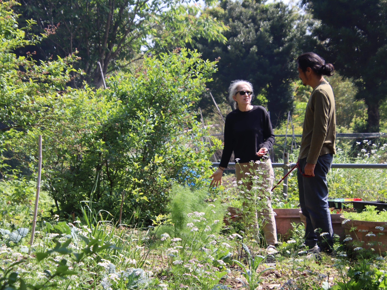 �_�s��̌������痣������̂ЂƂƂ��^