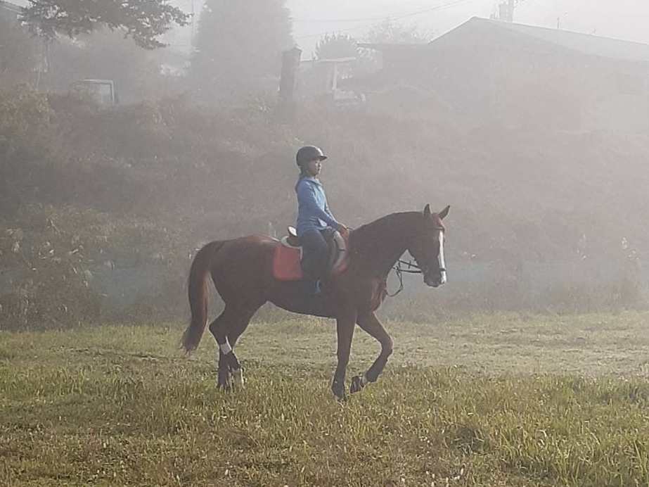 �o���҂͈�l�ł���n�\�B���C�y�ɂ����k���������B