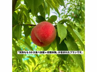 「完熟もも」を思う存分味わってください!!