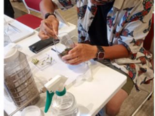 福岡・糸島で楽しむ静かな苔テラリウム体験