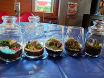 �����ό��̍��Ԃɗ�����������̌�