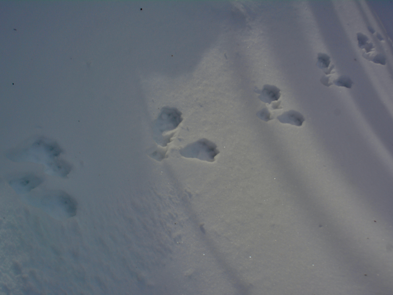 ��Ɏc�铮���̑��ՁB�������I�[�i�[�Ƃ��̎����Ȃ�ł͂̃t�B�[���h���[�N���y���߂܂��B